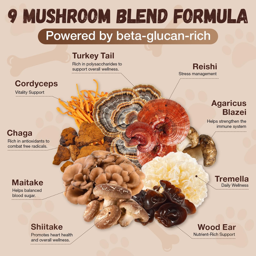 turkey-tail-mushroom-for-dogs-with-probi-2.jpg