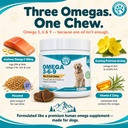 wanderfound-pets-omega-3-for-dogs-skin-a-3.jpg