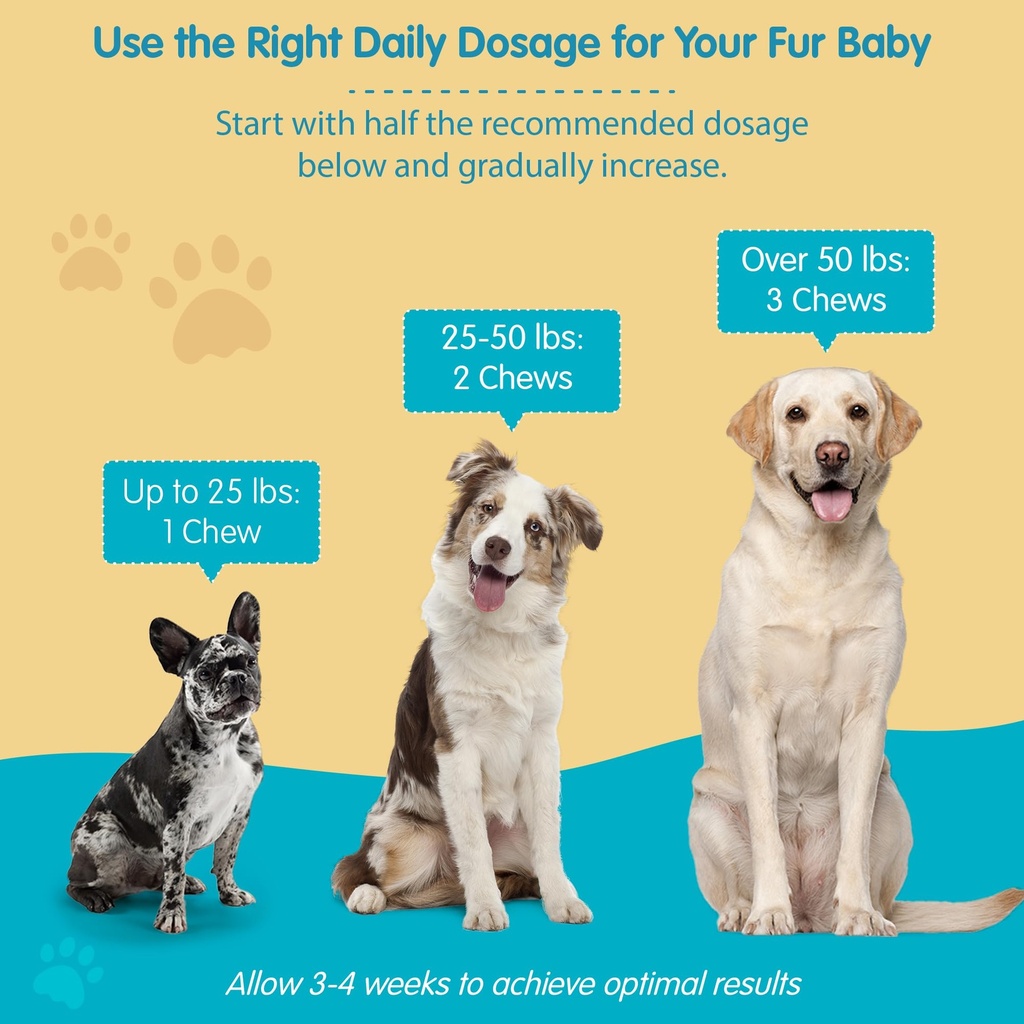 wanderfound-pets-omega-3-for-dogs-skin-a-6.jpg