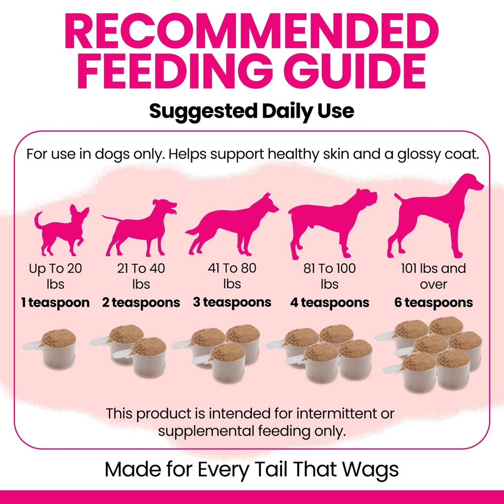 dog-skin-and-coat-supplement-omega-3-6-9-6.jpg