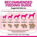 dog-skin-and-coat-supplement-omega-3-6-9-6.jpg