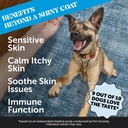omega-3-for-dogs-skin-and-coat-supplemen-2.jpg