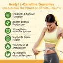 acetyl-l-carnitine-supplement-natural-nu-3.jpg