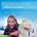claritin-allergy-24-hour-10mg-tablets-45-3.jpg