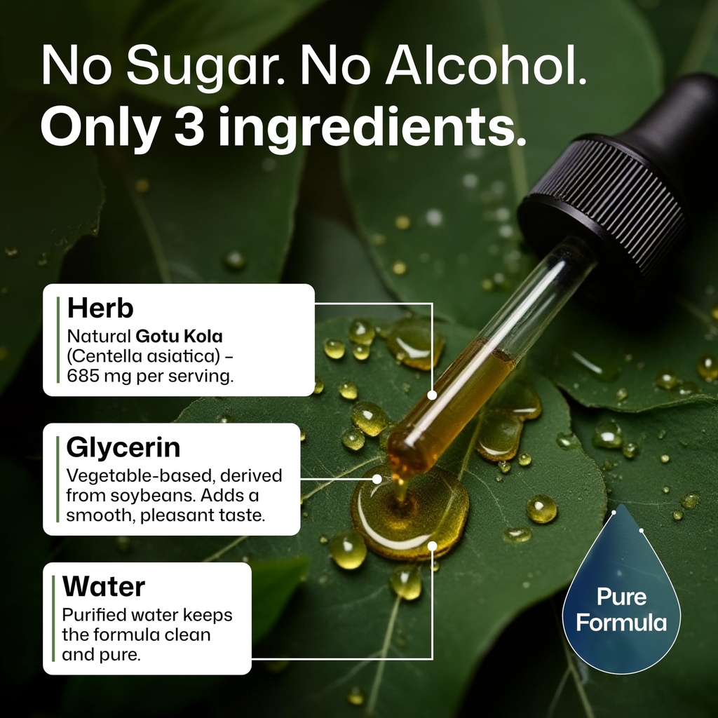 centella-asiatica-gotu-kola-tincture-sup-5.jpg
