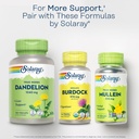 solaray-organic-burdock-root-970-mg---di-6.jpg