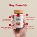 snap-supplements-heart-health-gummies-co-3.jpg