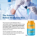 maximum-strength-brain-support-methylene-4.jpg