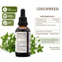 secrets-of-the-tribe-chickweed-liquid-ex-4.jpg