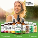 wild-organic-cleavers-lymphatic-drainage-5.jpg