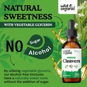 wild-organic-cleavers-lymphatic-drainage-6.jpg
