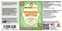 stinging-nettle-urtica-dioica-glycerite--2.jpg