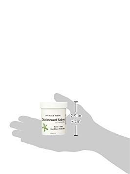 chickweed-salve-4oz-100-pure-all-natural-2.jpg