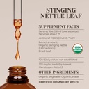 stinging-nettle-leaf-usda-organic-alcoho-3.jpg