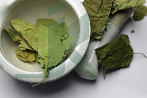 bixa-botanical-gymnema-leaf-powder-gudma-4.jpg