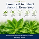 organic-stevia-powder-1-19lb-pure-sweete-5.jpg