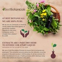 stevia-leaf-cut-16-oz-3.jpg