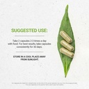 stevia-usda-organic-120-capsules-made-wi-3.jpg