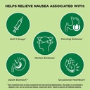 dramamine-advanced-herbals-ginger-chews--2.jpg