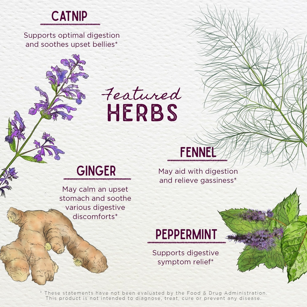 wishgarden-herbs-digestive-rescue-stomac-4.jpg