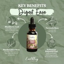 earthley-wellness-digest-ease-herbal-dig-2.jpg