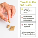digestive-health-herbal-relief-of-stomac-2.jpg