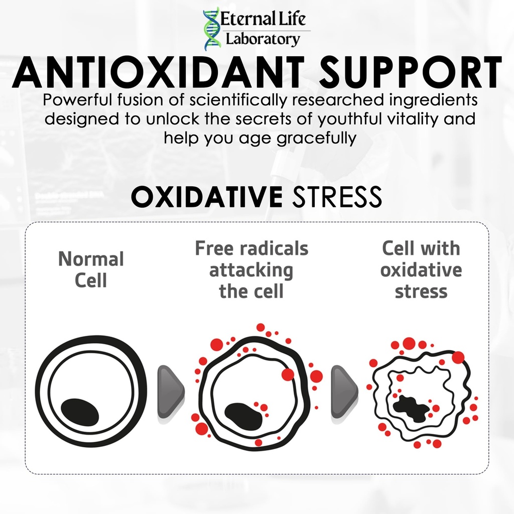 longevity-blend-3-resveratrol-98-with-fi-5.jpg