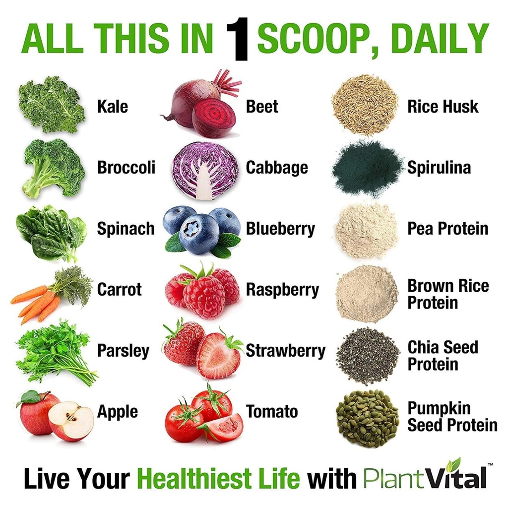 plantvital-organic-unflavored-protein-po-2.jpg