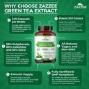 zazzee-extra-strength-green-tea-20-1-ext-6.jpg