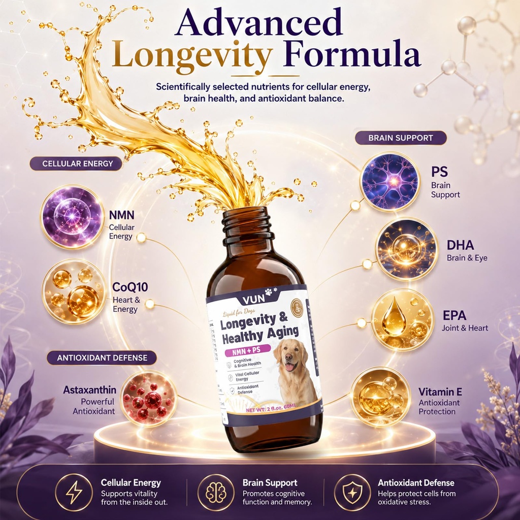 vun-nad-longevity-supplement-for-senior--4.jpg