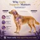 vun-nad-longevity-supplement-for-senior--3.jpg
