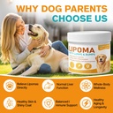 lipoma-treatment-for-dogs-control-and-pr-3.jpg
