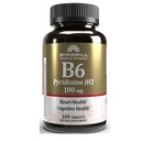 vit-b-6-tabs-100-mg-wmill-100-2.jpg
