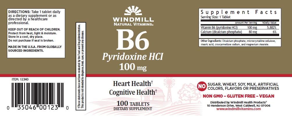 vit-b-6-tabs-100-mg-wmill-100-3.jpg
