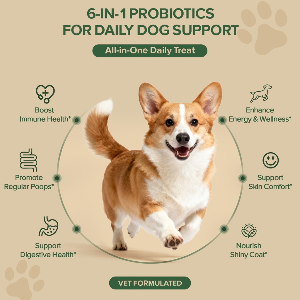probiotics-for-dogs-dog-probiotics-for-y-2.jpg