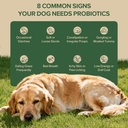 probiotics-for-dogs-dog-probiotics-for-y-6.jpg