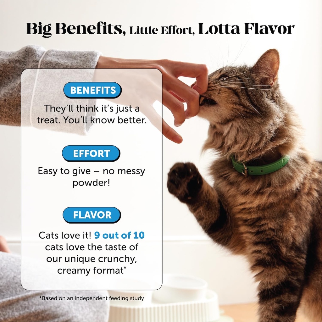 cat-skin-coat-supplement-crunchy-creamy--4.jpg