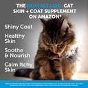 cat-skin-coat-supplement-crunchy-creamy--2.jpg
