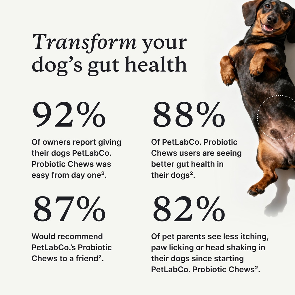 petlab-co-probiotic-chews-for-dogs-30-so-3.jpg