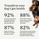 petlab-co-probiotic-chews-for-dogs-30-so-3.jpg