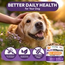 dog-multivitamin-chewable-dog-vitamins-a-6.jpg