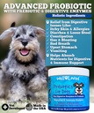 probiotics-for-dogs-dog-probiotics-made--2.jpg
