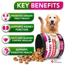 dog-uti-chews-advanced-cranberry-supplem-2.jpg