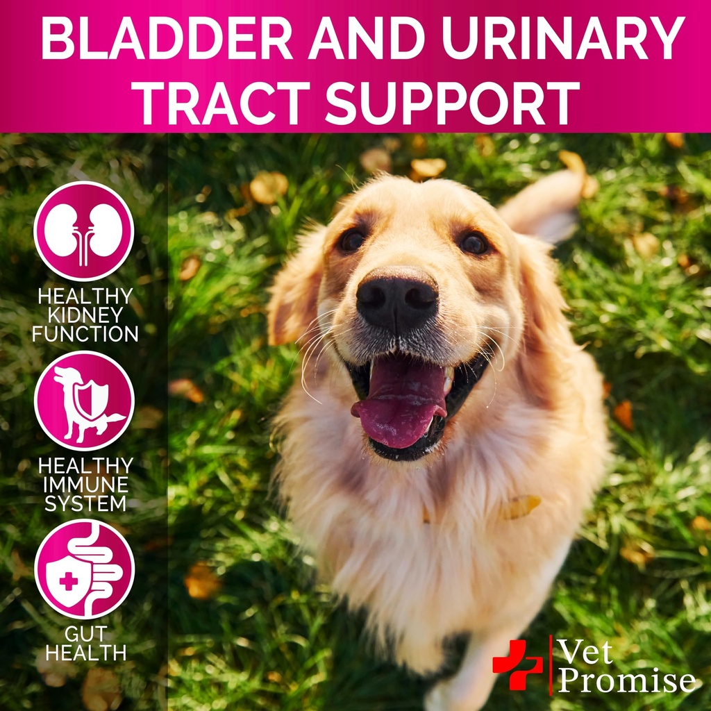 dog-uti-chews-advanced-cranberry-supplem-4.jpg
