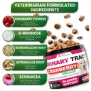 dog-uti-chews-advanced-cranberry-supplem-3.jpg