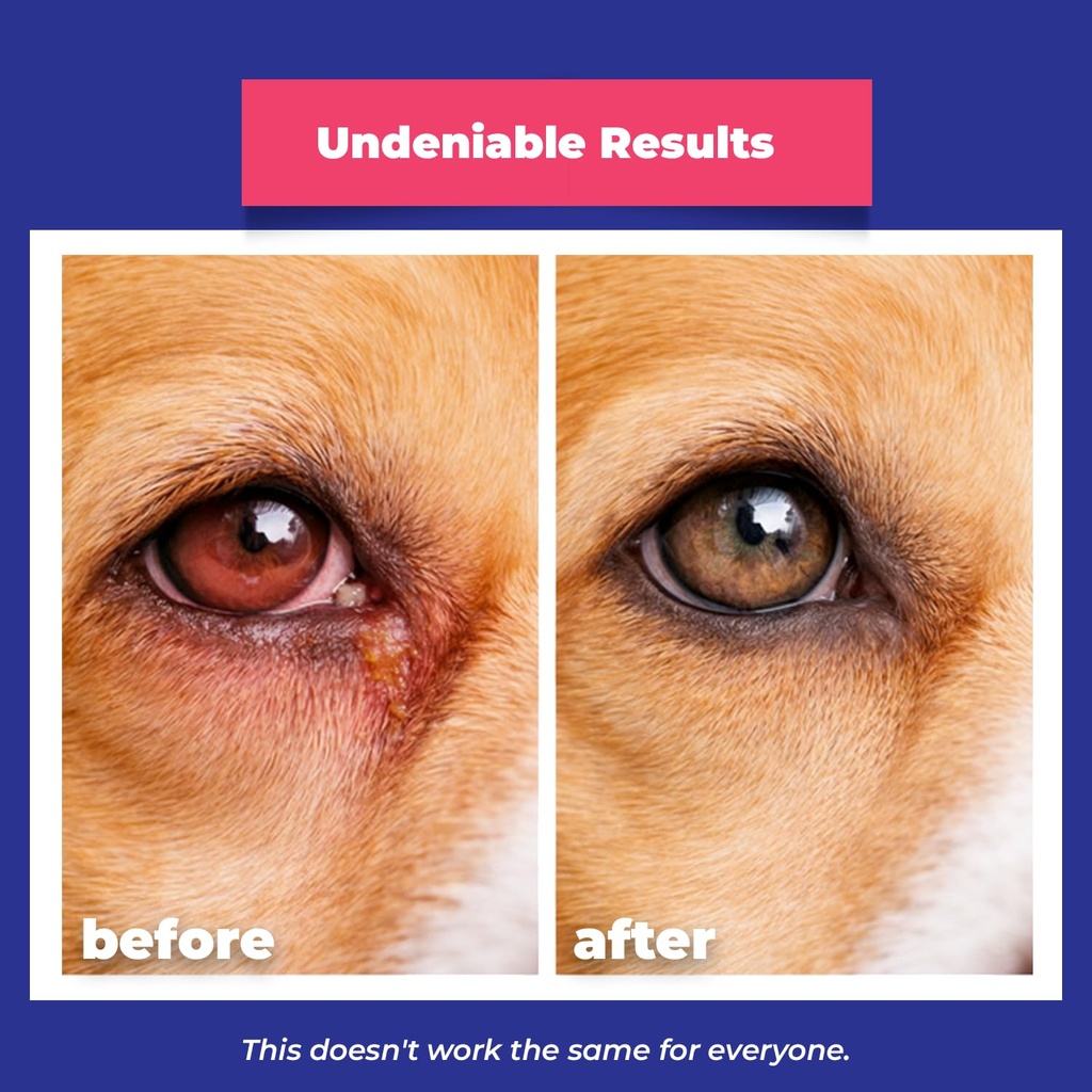 eyemycin-pet-eye-health-for-dogs-cats-ca-6.jpg