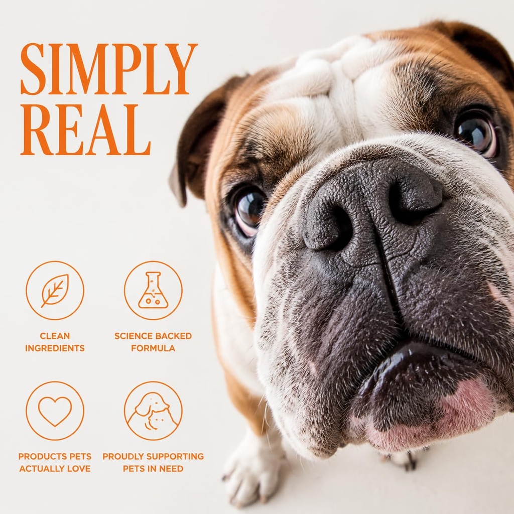 probiotics-for-dogs-support-gut-health-y-5.jpg