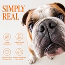 probiotics-for-dogs-support-gut-health-y-5.jpg