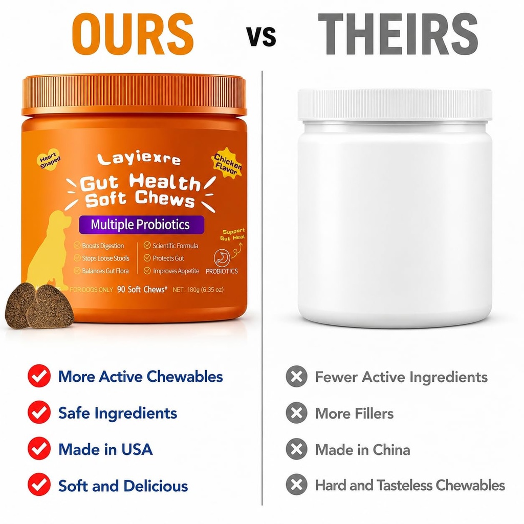 probiotics-for-dogs-support-gut-health-y-6.jpg