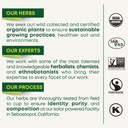 traditional-medicinals-organic-smooth-mo-6.jpg